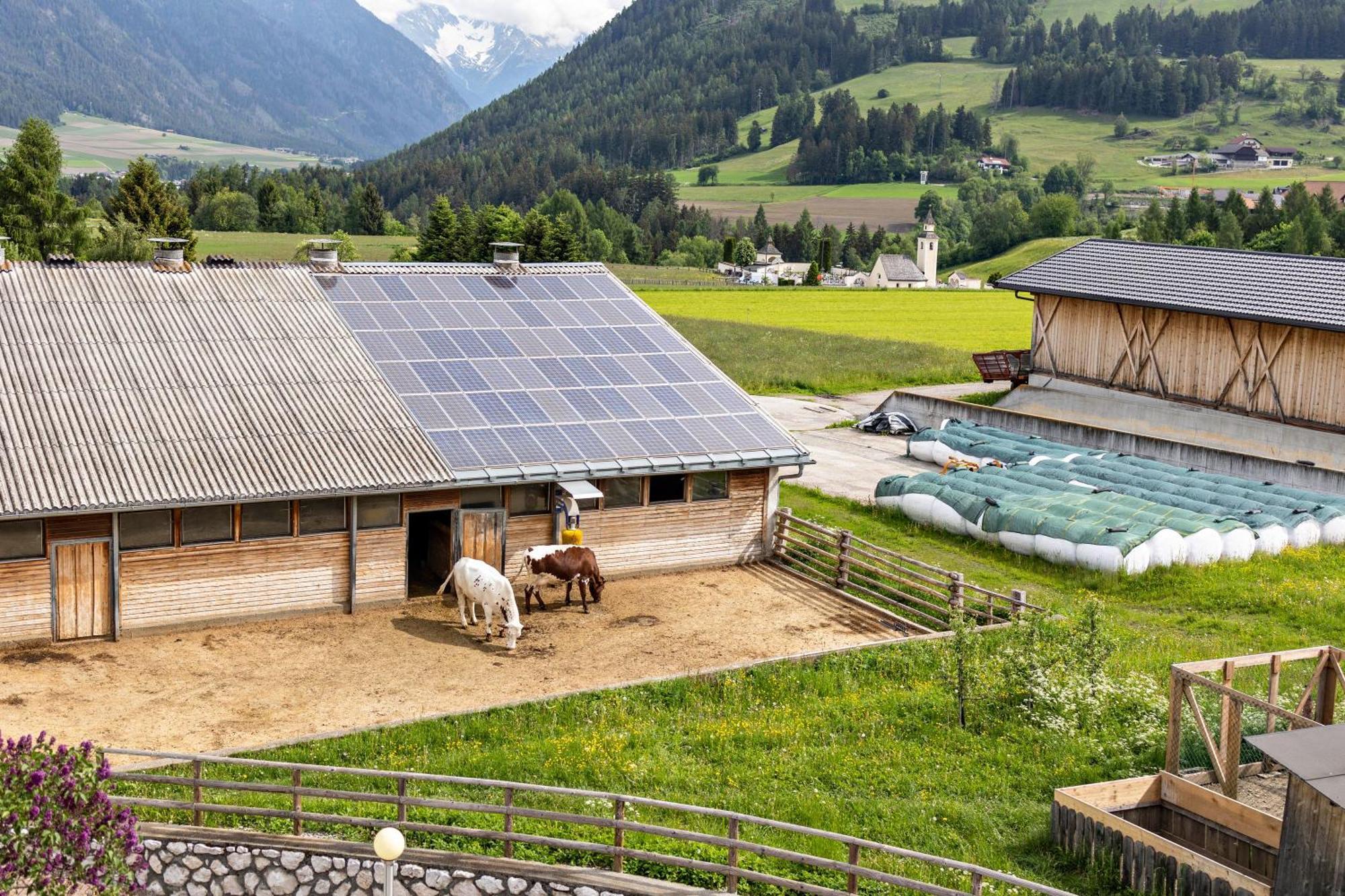 Oberhoelzlhof Valdaora di Sopra Exteriér fotografie